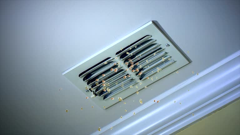Best Professional Duct Cleaning Services  in Quitman, GA