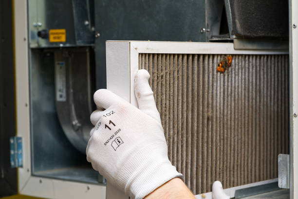 Best HVAC Air Duct Cleaning  in Quitman, GA